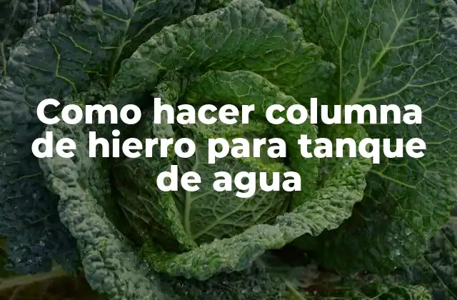 Como Hacer Columna de Hierro para Tanque de Agua
