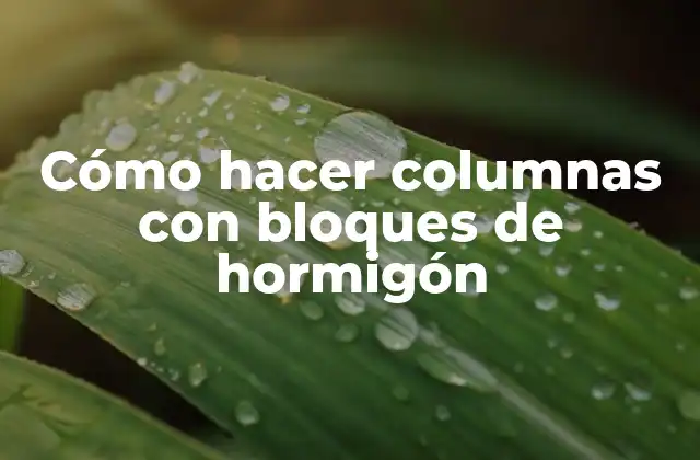 Cómo Hacer Columnas con Bloques de Hormigón