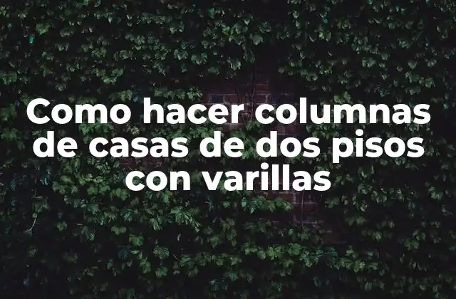 Como Hacer Columnas de Casas de Dos Pisos con Varillas