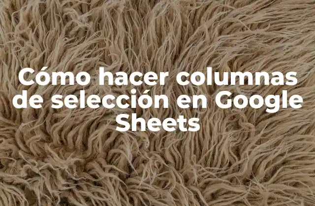Cómo Hacer Columnas de Selección en Google Sheets