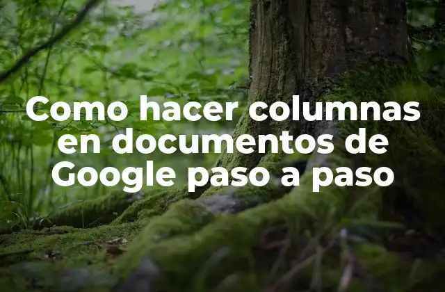 Como Hacer Columnas en Documentos de Google Paso a Paso