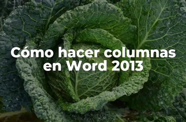 Cómo Hacer Columnas en Word 2013