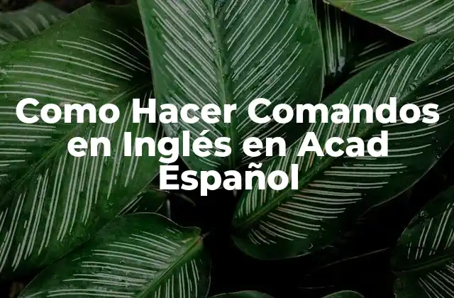 Como Hacer Comandos en Inglés en Acad Español