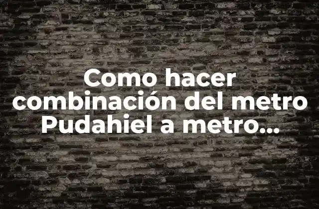 Como Hacer Combinación Del Metro Pudahiel a Metro Patronato