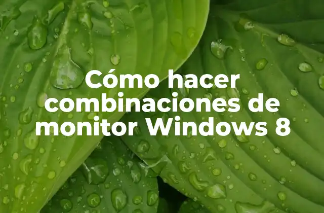 Cómo Hacer Combinaciones de Monitor Windows 8