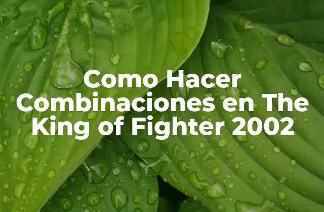 Como Hacer Combinaciones en The King Of Fighter 2002 2 Como Hacer Combinaciones en The King of Fighter 2002