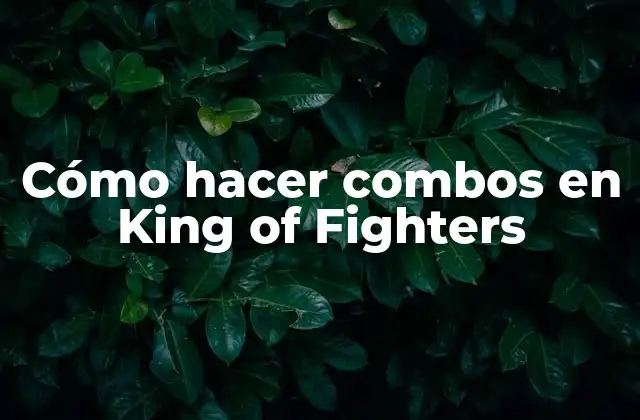 Cómo Hacer Combos en King Of Fighters