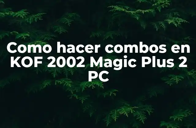Como hacer combos en KOF 2002 Magic Plus 2 PC