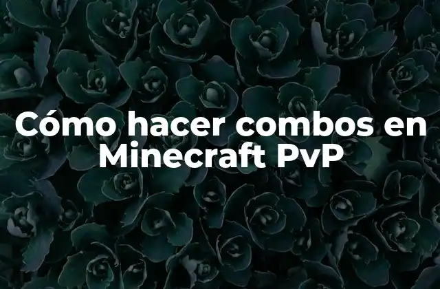 Cómo Hacer Combos en Minecraft Pvp