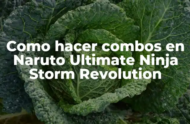 Como Hacer Combos en Naruto Ultimate Ninja Storm Revolution