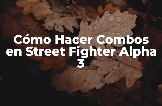 Cómo Hacer Combos en Street Fighter Alpha 3