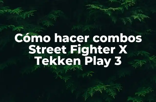 Cómo Hacer Combos Street Fighter X Tekken Play 3 2 Cómo hacer combos Street Fighter X Tekken Play 3