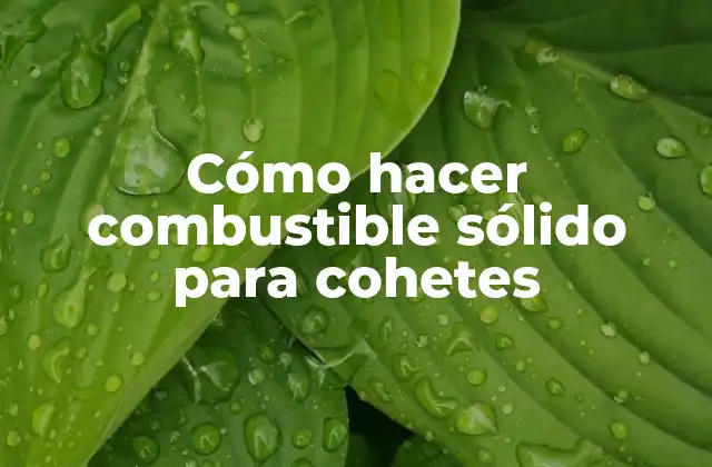 Cómo Hacer Combustible Sólido para Cohetes 2 Cómo hacer combustible sólido para cohetes