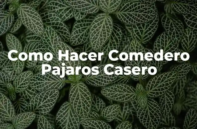 Como Hacer Comedero Pajaros Casero