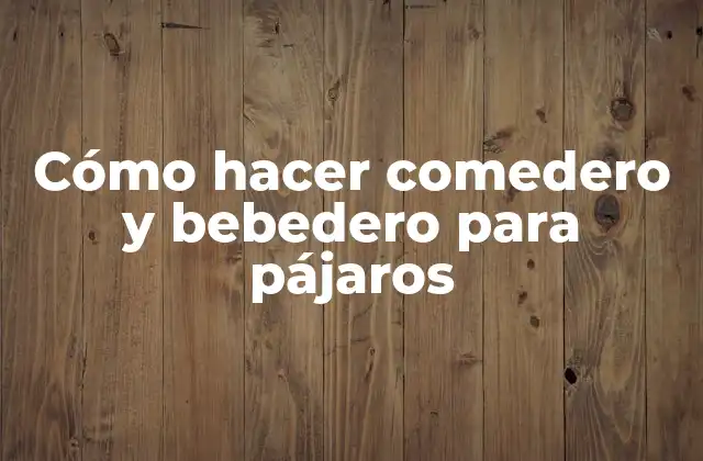 Cómo Hacer Comedero y Bebedero para Pájaros