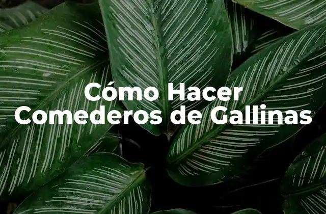 Cómo Hacer Comederos de Gallinas