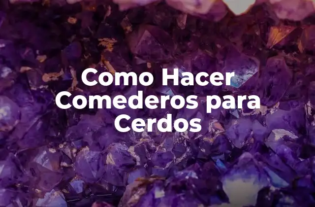 Como Hacer Comederos para Cerdos