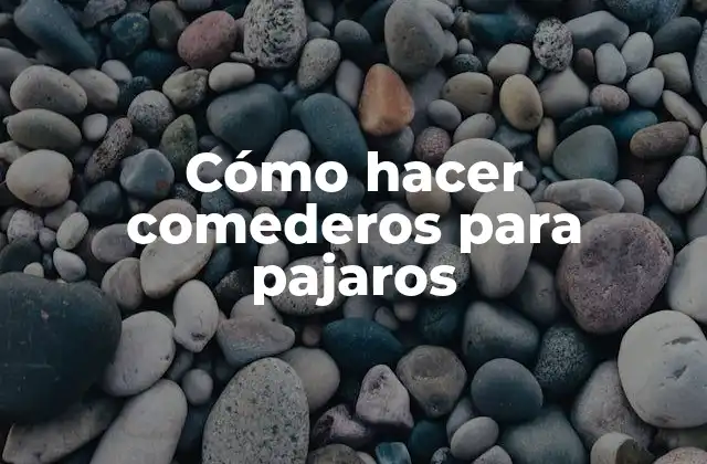 Cómo Hacer Comederos para Pajaros 2 Cómo hacer comederos para pajaros
