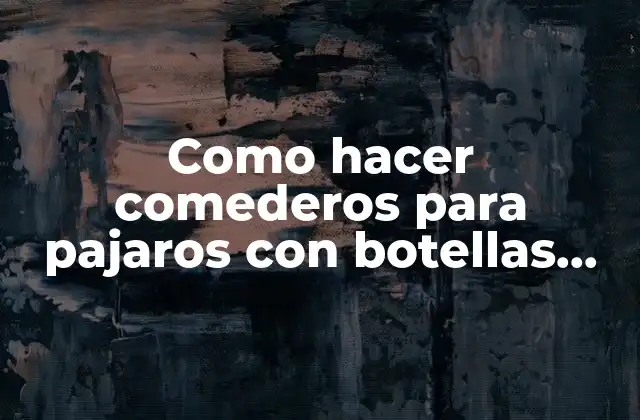 Como Hacer Comederos para Pajaros con Botellas Plasticas