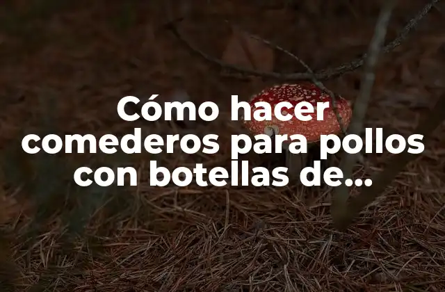 Cómo Hacer Comederos para Pollos con Botellas de Plástico 2 Cómo hacer comederos para pollos con botellas de plástico