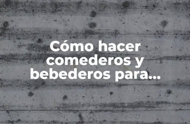 Comederos y bebederos para pollitos