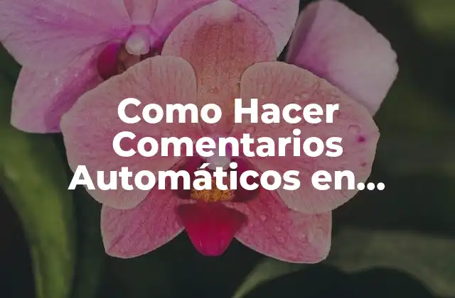 Como Hacer Comentarios Automáticos en Instagram 2 ¿Qué son los Comentarios Automáticos en Instagram?