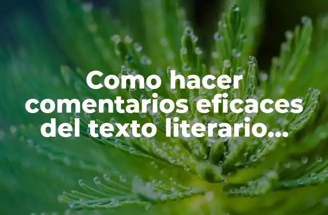 Como Hacer Comentarios Eficaces Del Texto Literario según Currículum Vigente