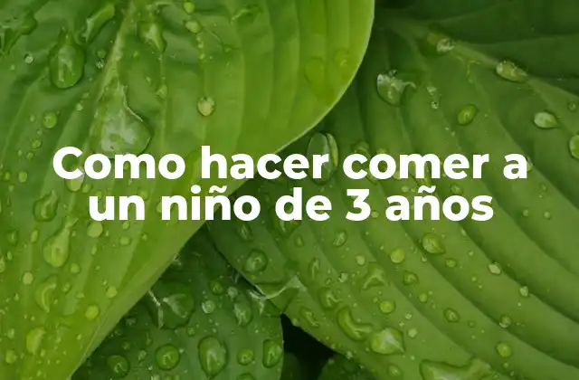 Como Hacer Comer a un Niño de 3 Años