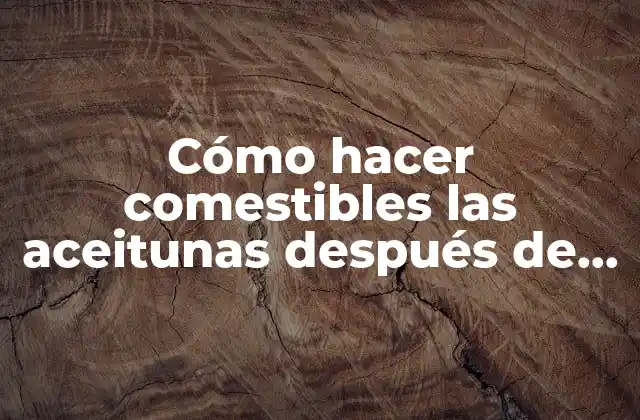 Cómo Hacer Comestibles las Aceitunas Después de la Cosecha
