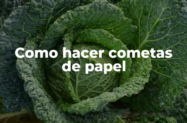 Como Hacer Cometas de Papel 2 ¿Qué es una cometa de papel?
