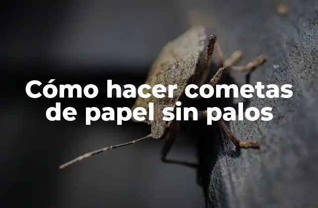 Cómo Hacer Cometas de Papel sin Palos