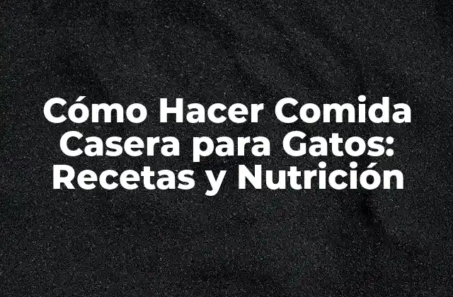 ¿Por qué la Comida Casera es Mejor para los Gatos?