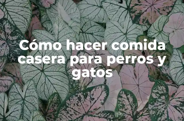 Cómo Hacer Comida Casera para Perros y Gatos