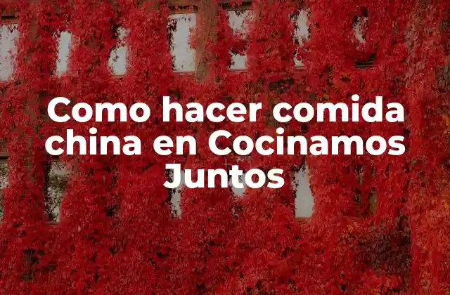 Como Hacer Comida China en Cocinamos Juntos