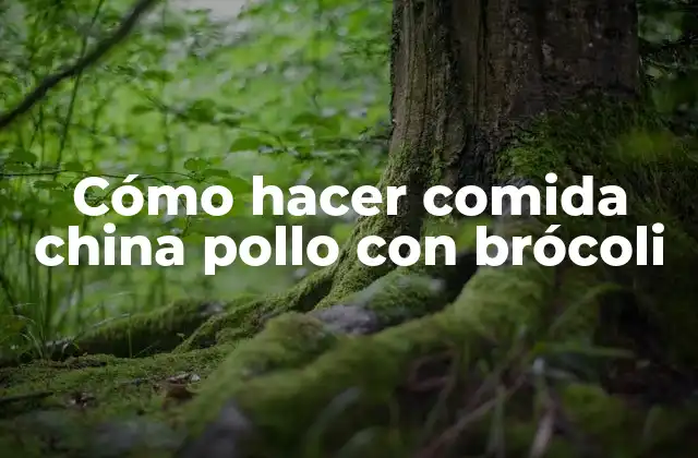 Cómo Hacer Comida China Pollo con Brócoli