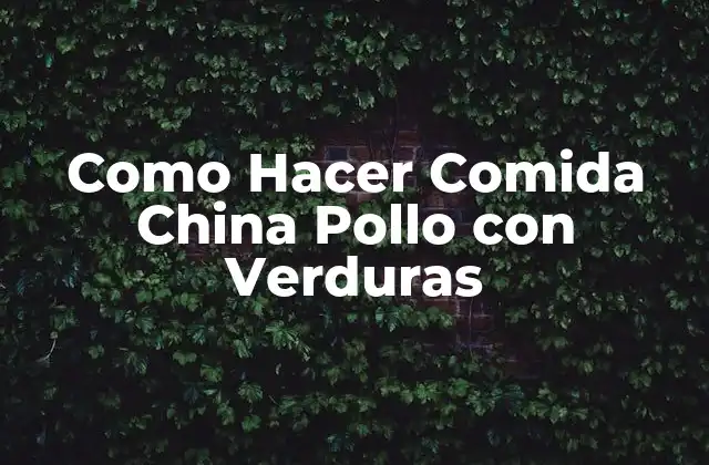 Como Hacer Comida China Pollo con Verduras