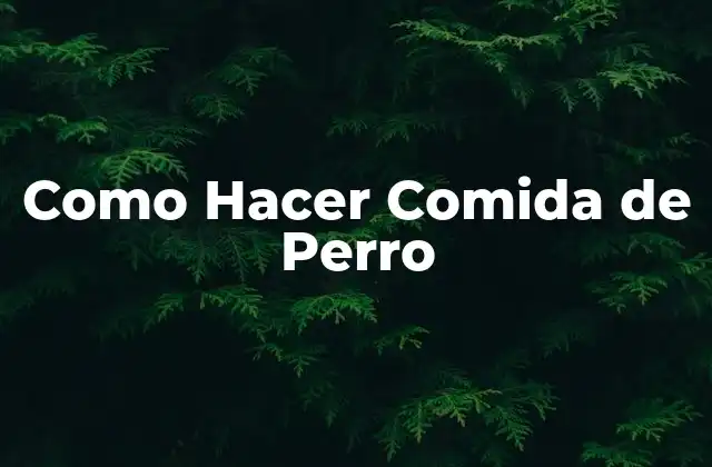 ¿Qué es la Comida de Perro Casera y Para Qué Sirve?