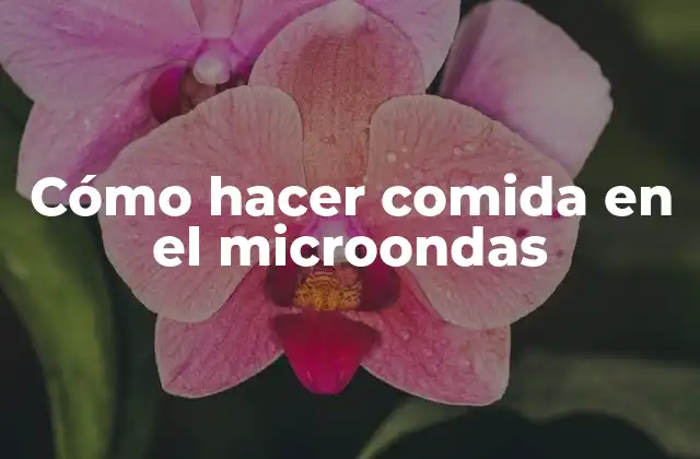 Cómo Hacer Comida en el Microondas