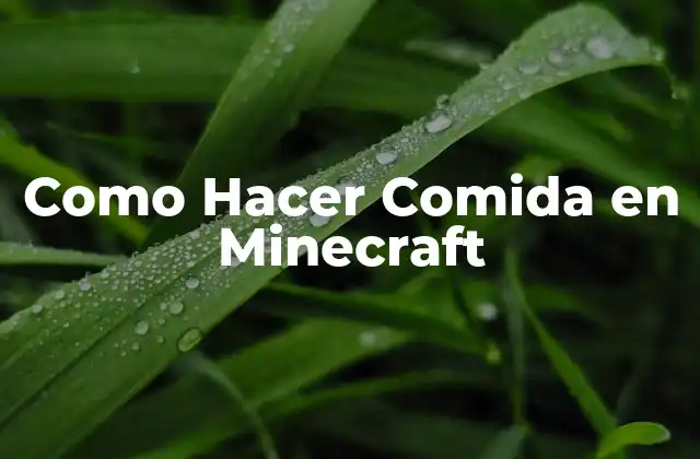Como Hacer Comida en Minecraft