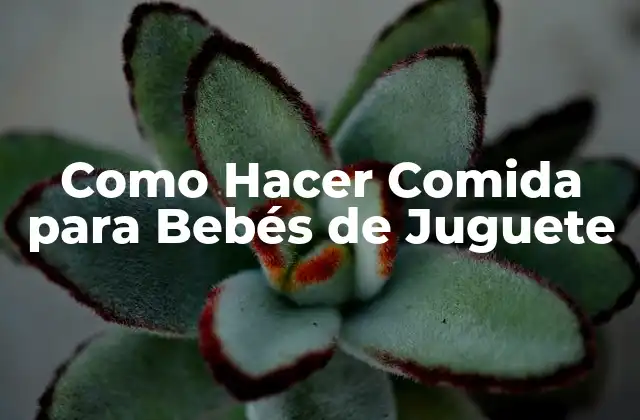Como Hacer Comida para Bebés de Juguete