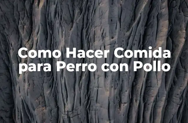 Como Hacer Comida para Perro con Pollo