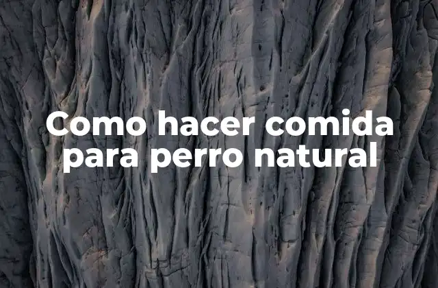 Como Hacer Comida para Perro Natural