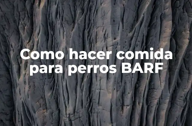 Como Hacer Comida para Perros Barf