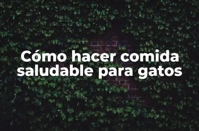 Cómo Hacer Comida Saludable para Gatos