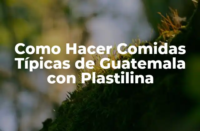 Como Hacer Comidas Típicas de Guatemala con Plastilina 2 ¿Qué es la Plastilina y para Qué Sirve en la Creación de Comidas Típicas de Guatemala?