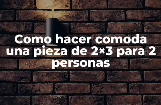Como Hacer Comoda una Pieza de 2×3 para 2 Personas