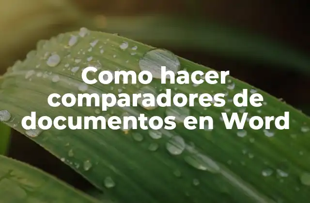 ¿Qué es un comparador de documentos en Word?