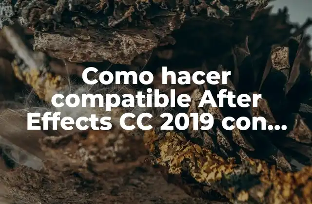 Como Hacer Compatible After Effects Cc 2019 con Windows 8