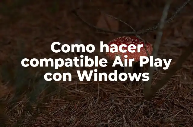 Como Hacer Compatible Air Play con Windows