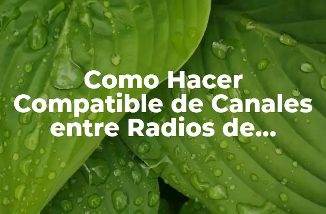 Compatible de Canales entre Radios de Diferentes Marcas